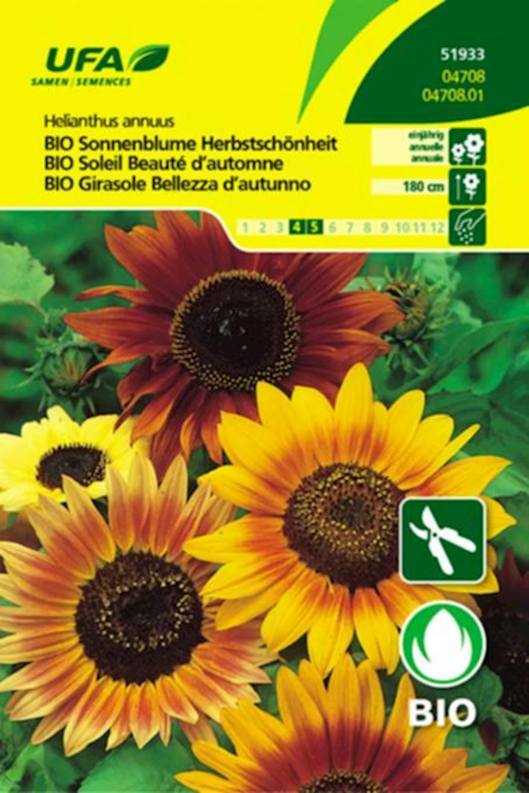 Sonnenblume Herbstschön BIO-K UFA