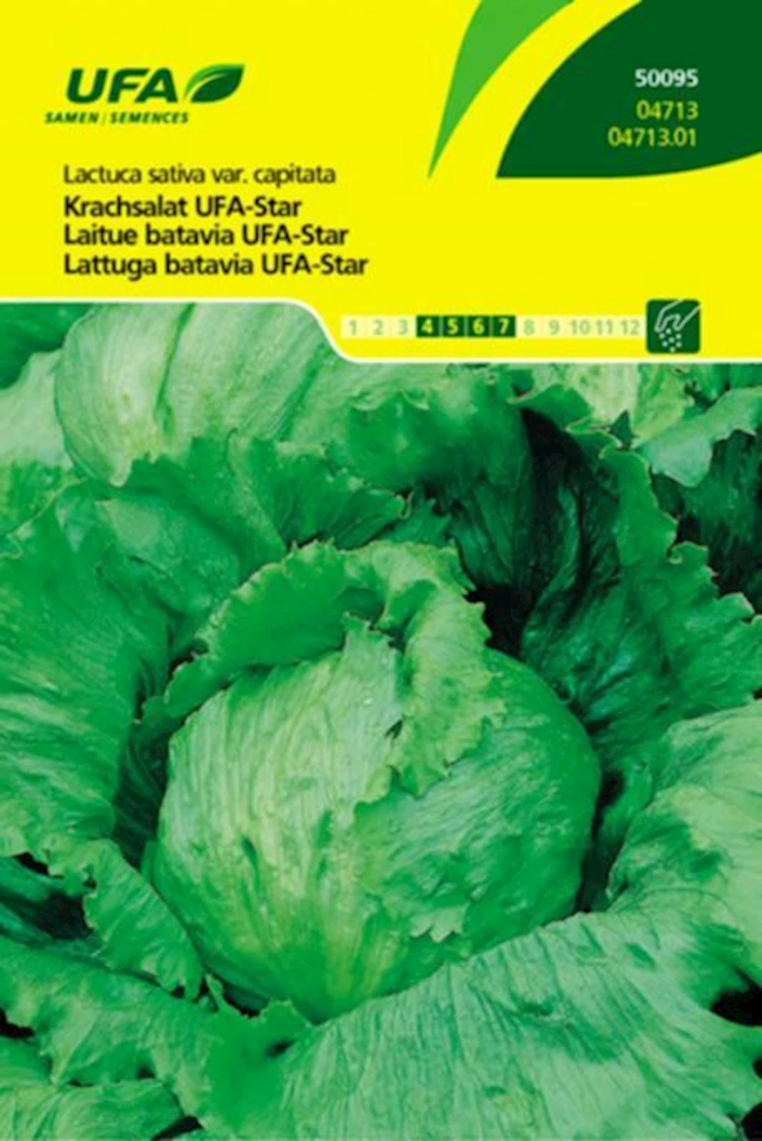 Krachsalat Star UFA