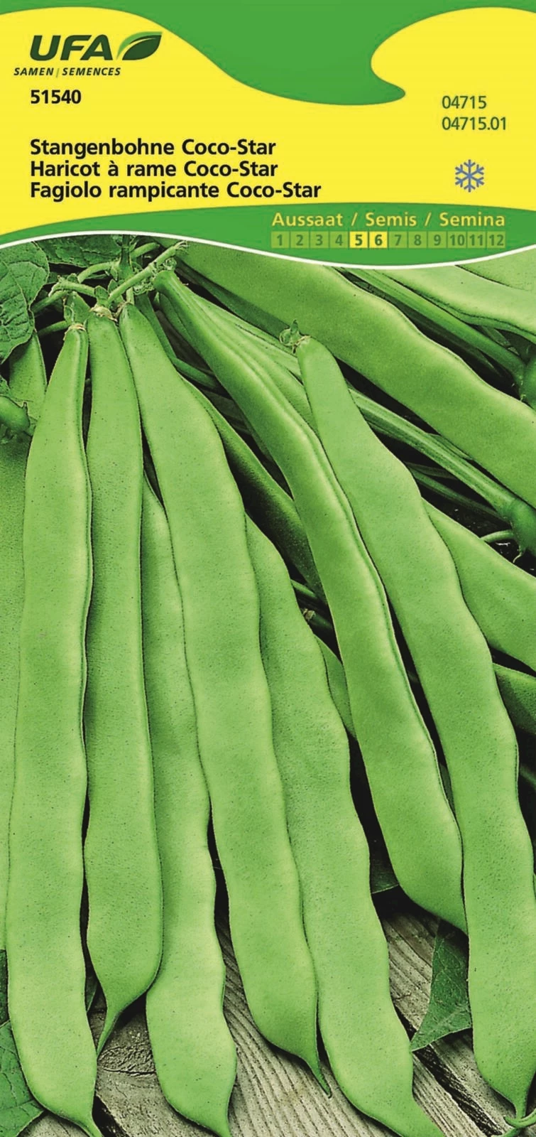 Bohnen Coco-Star UFA