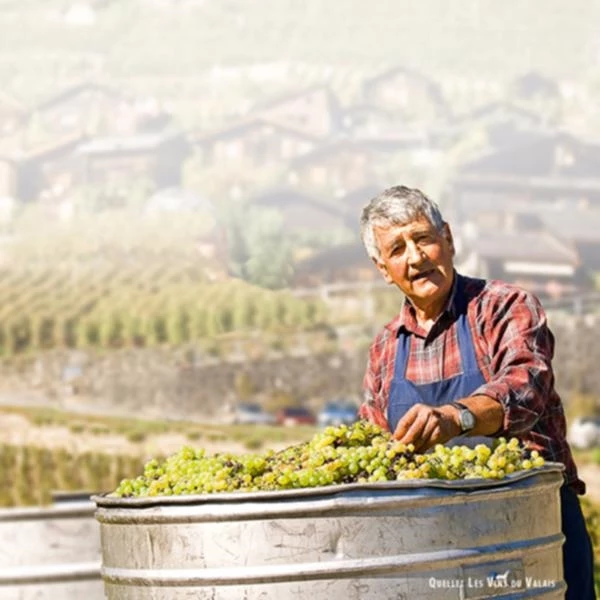 Johannisberg VS 50 cl