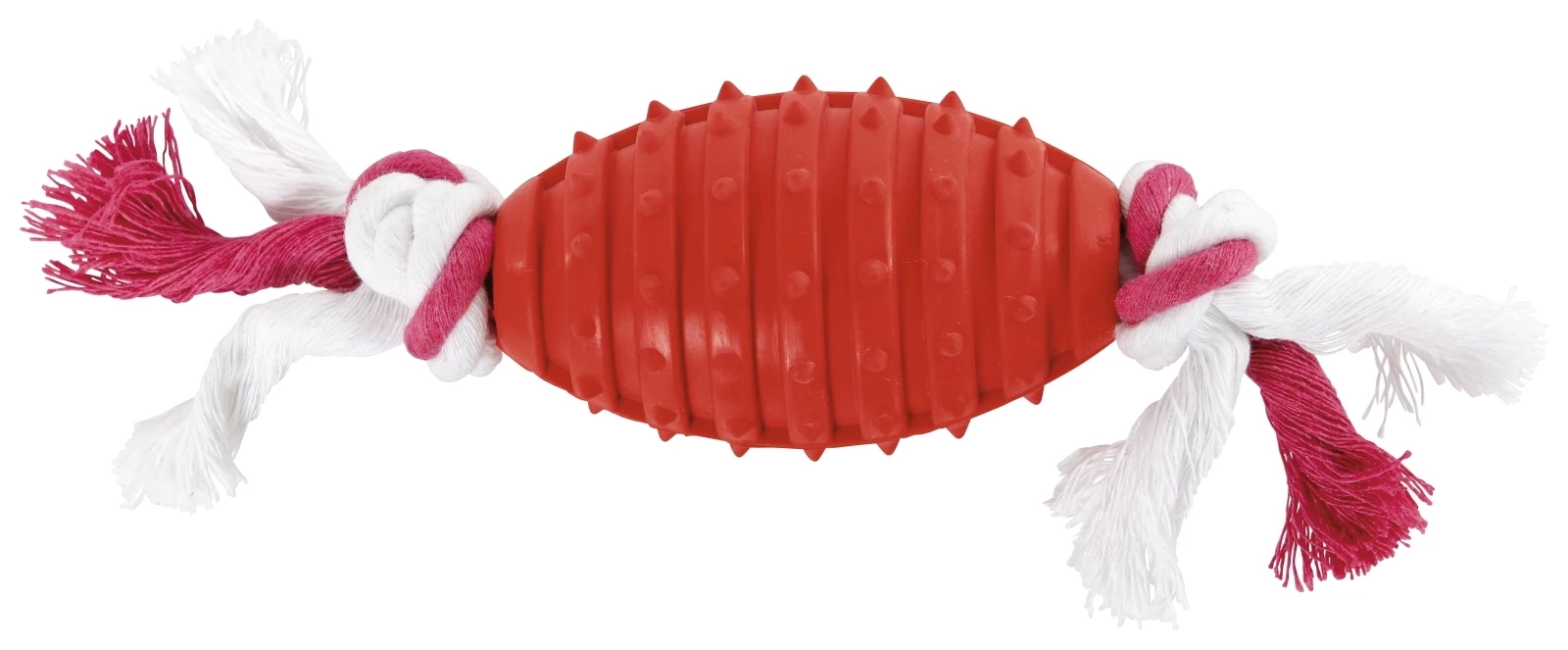 Hundespielzeug Rugbyball