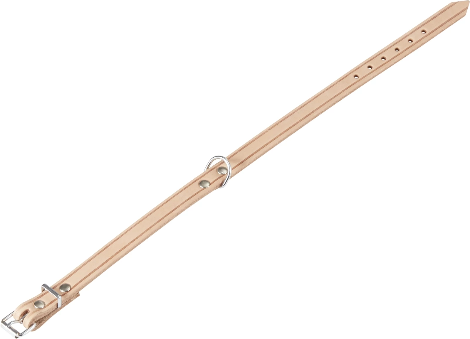 Collier chien neutre 40 cm bitsdog