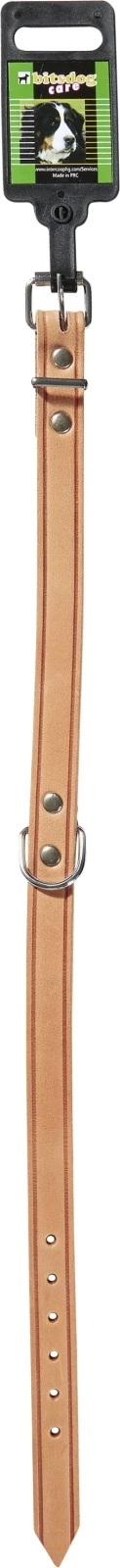 Collier chien neutre 45 cm bitsdog