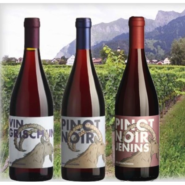 Pinot Noir GR AOC 75 cl