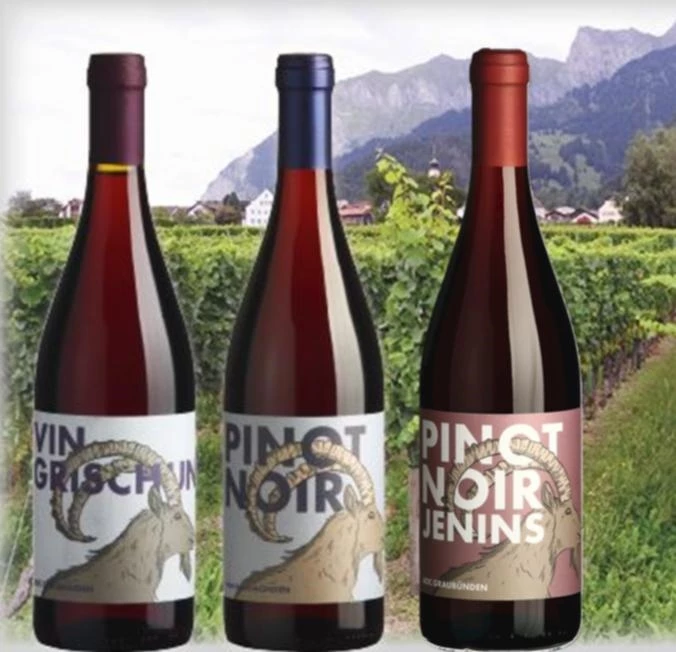 Pinot Noir Jenins GR AOC 75 cl