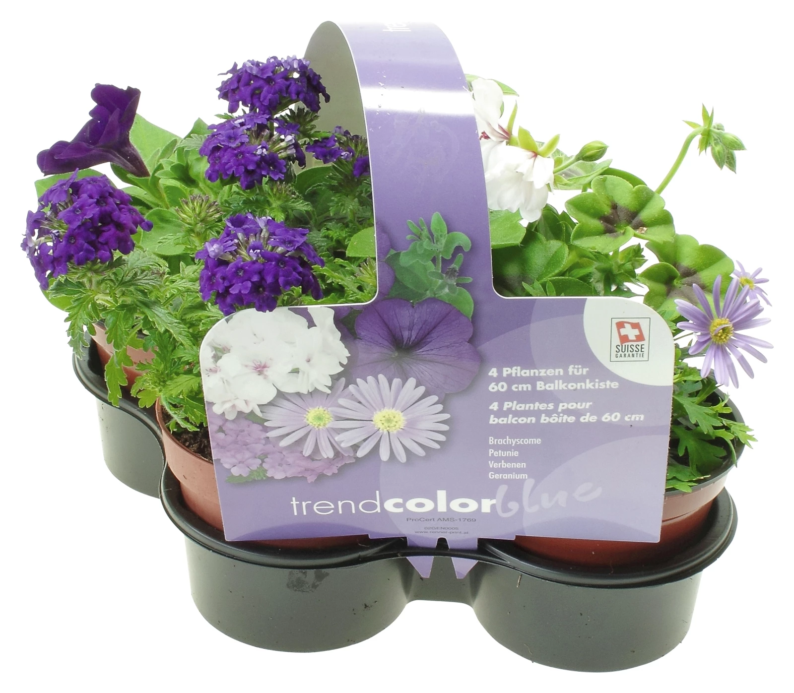 Sommerflor Mix blau 4er Set  P10,5 cm