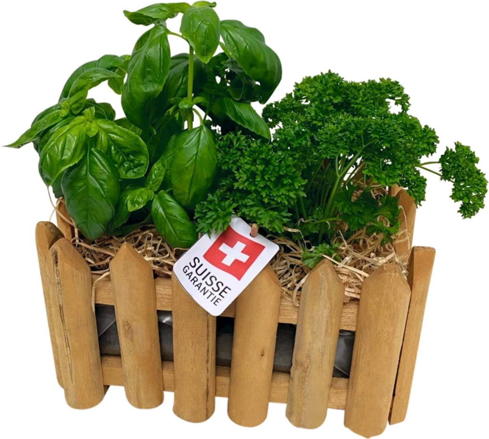 Kräutergarten P30x20 cm