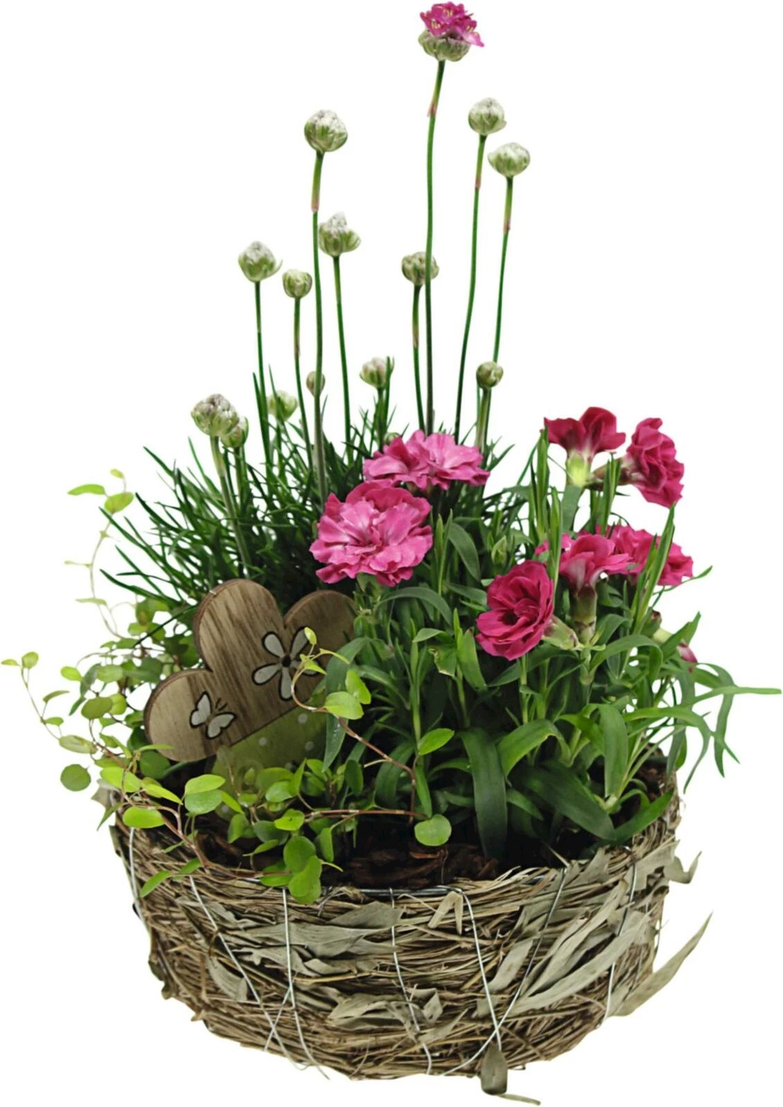 Bambuskorb bepfl. P19 cm