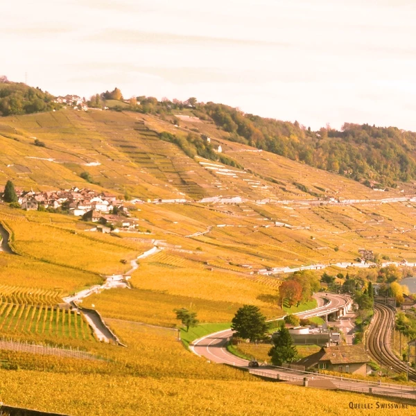 Aigle Chablais blanc 50 cl