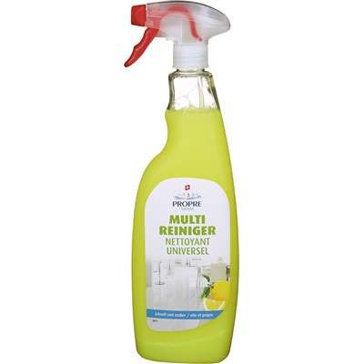 Multi-Reiniger Spray 750 ml
