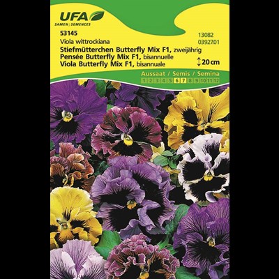 Viola Butterfly Mix UFA