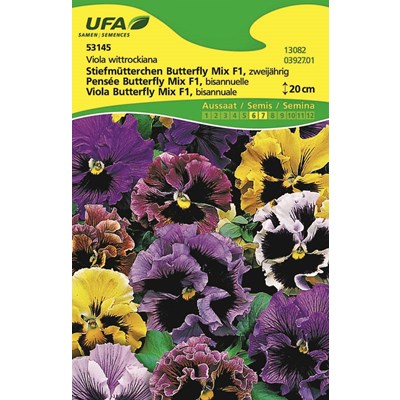 Viola Butterfly Mix UFA