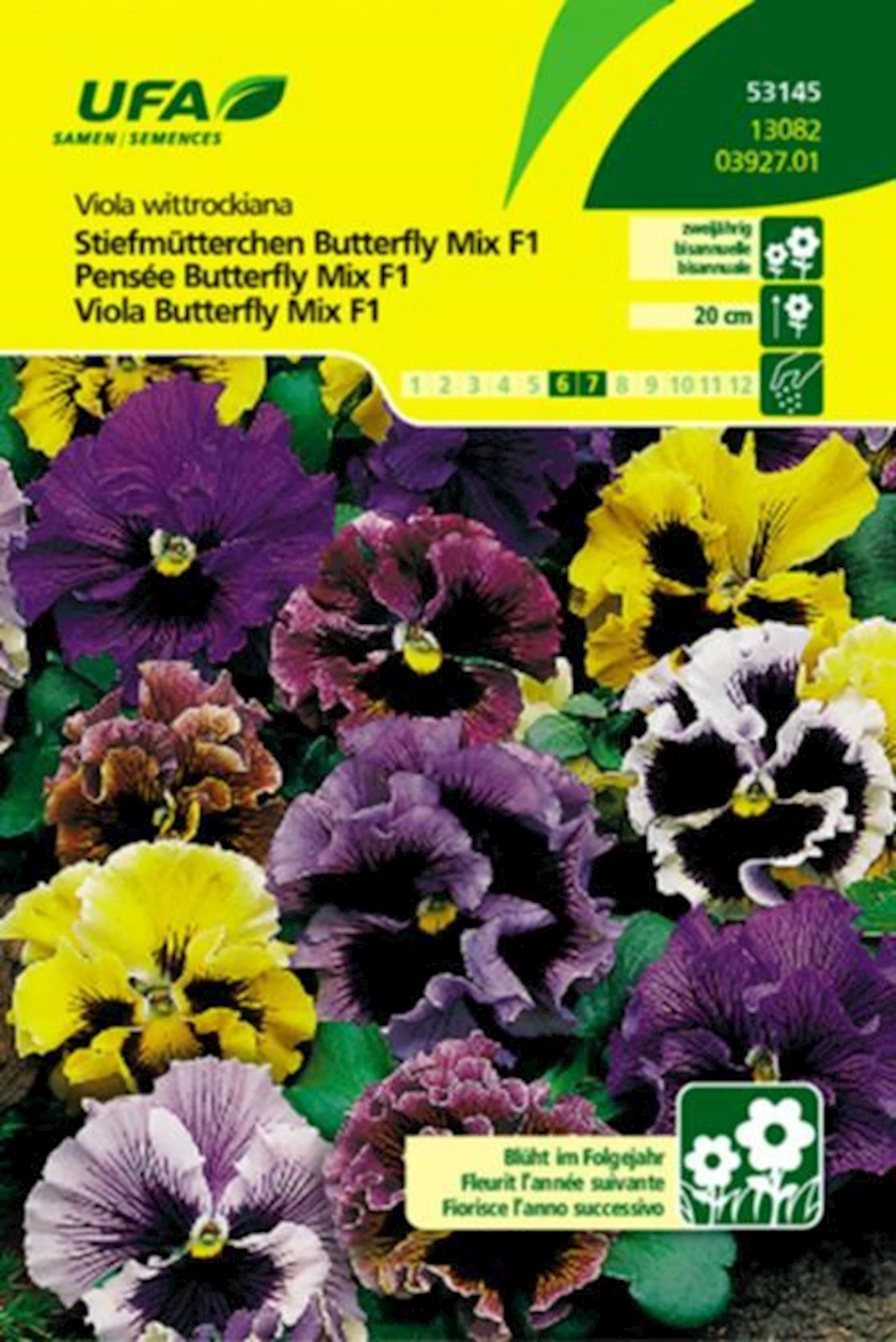 Viola Butterfly Mix UFA