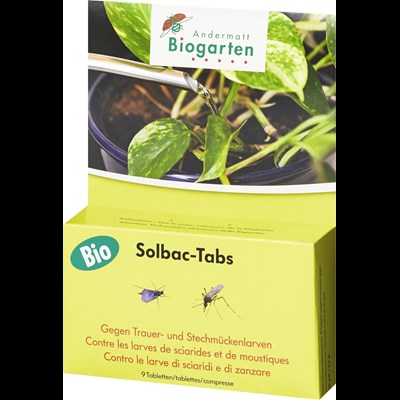 Nematodes mouches terreau : Traitement bio Nématodes - anti moucherons et  mouches des terreaux (Pour traiter 20 pots) : : Jardin