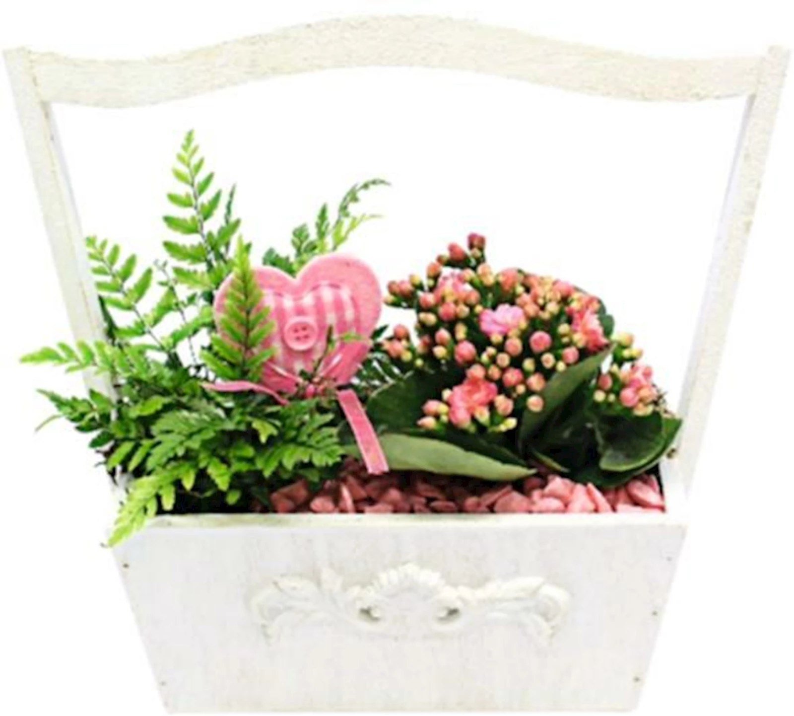 Caisse en bois planté P20x11 cm