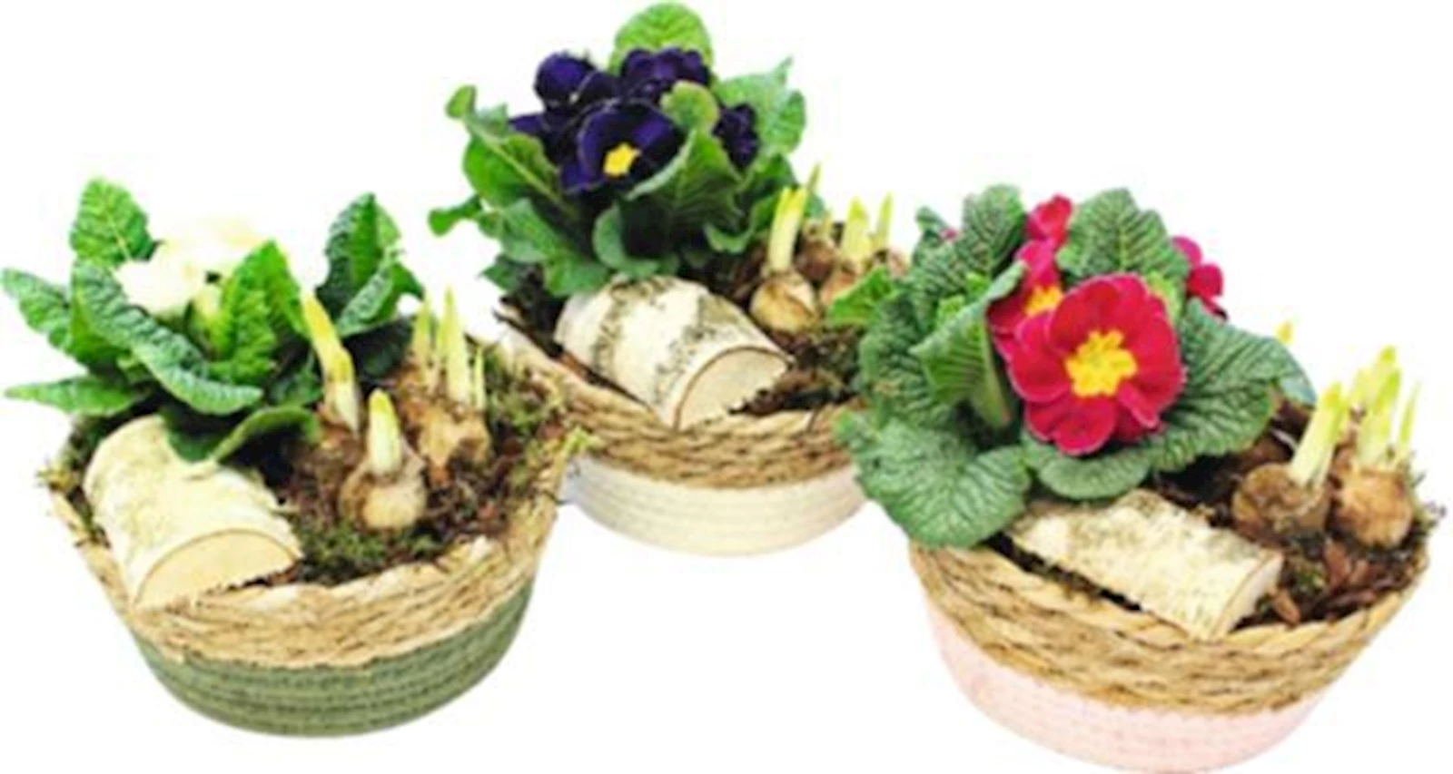 Korb rund bepfl. P18 cm