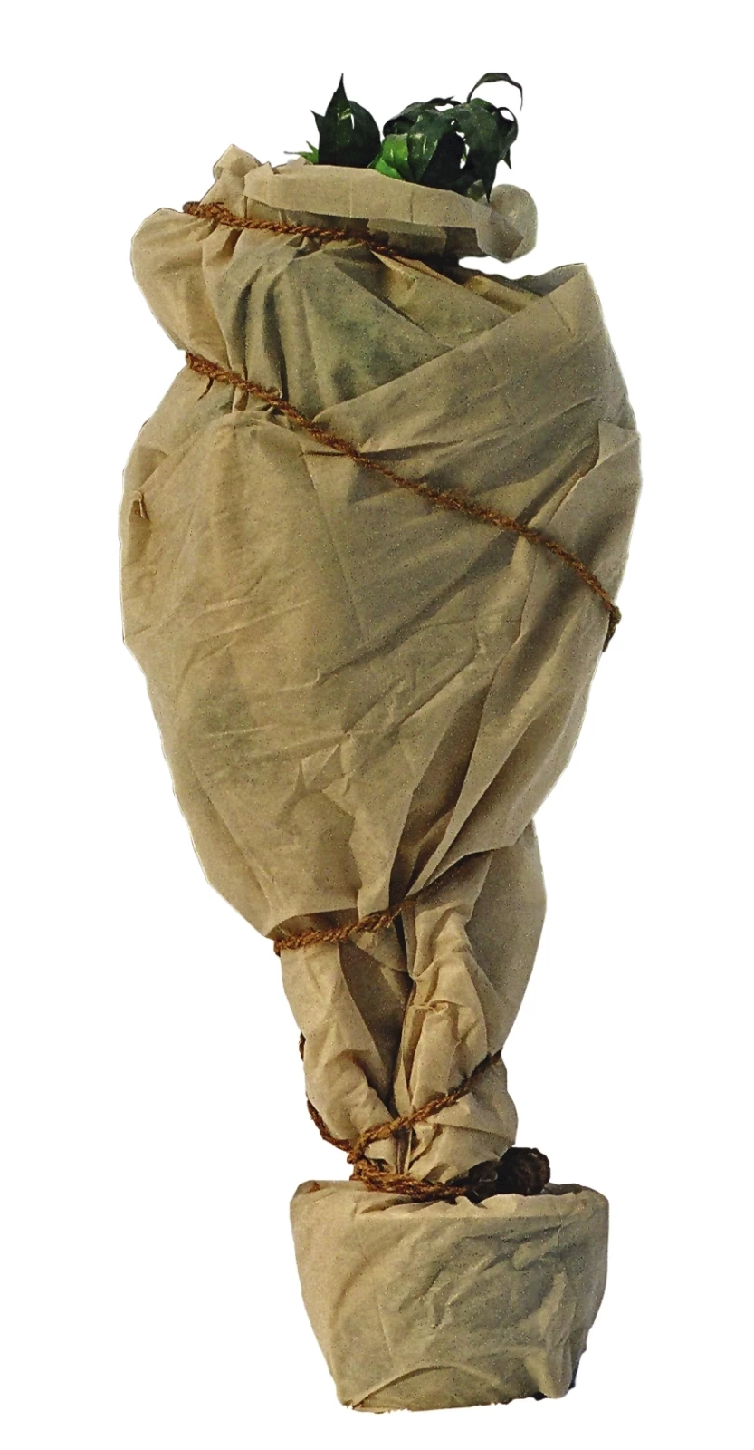 Wintervlies 1,5 × 5 m, beige