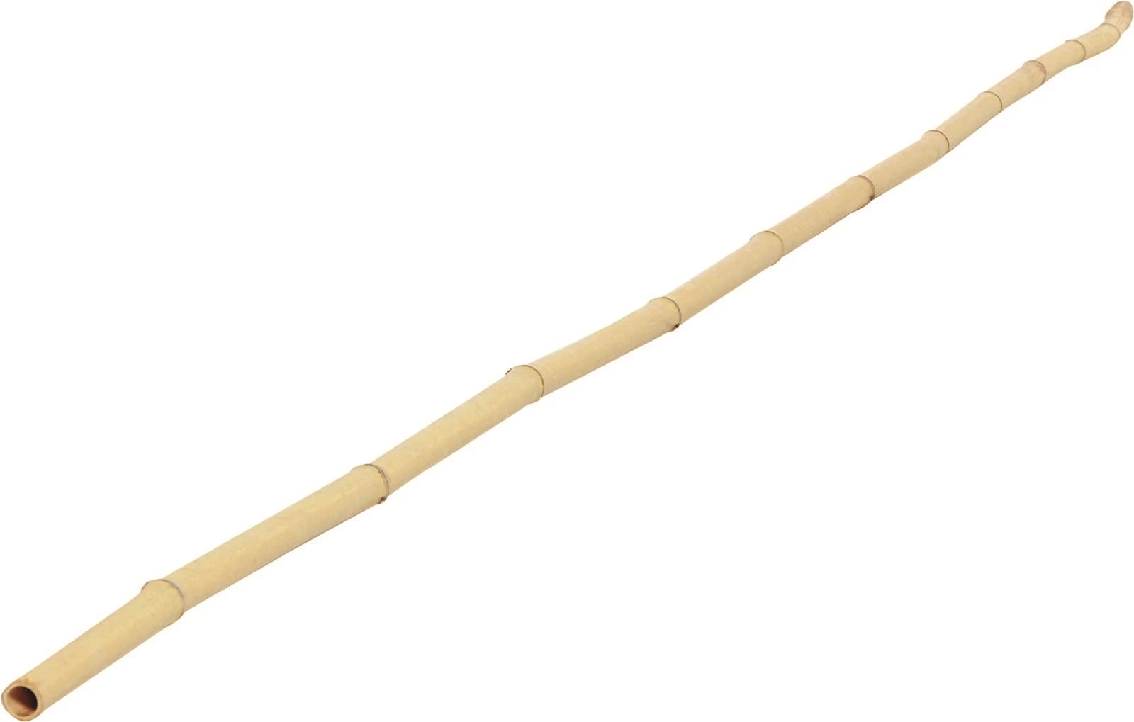Bambusstab 2,1 m × 22/24 mm