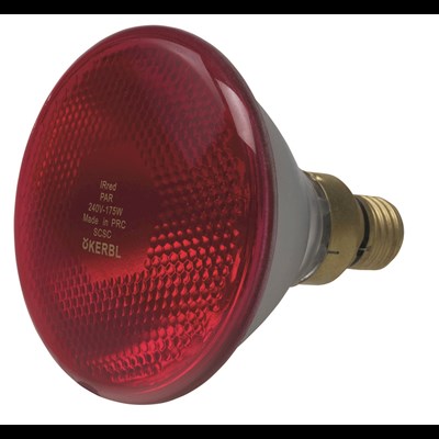 Lampe chauffante rouge 175 W