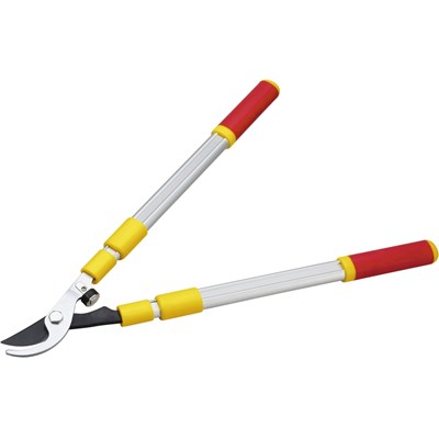 Astschere landi Astschere landi