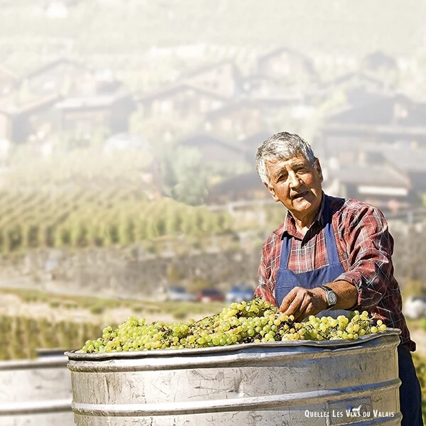 Humagne Rouge VS 75 cl