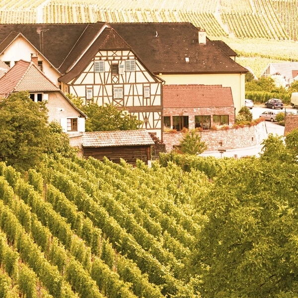 Gewürztraminer 75 cl