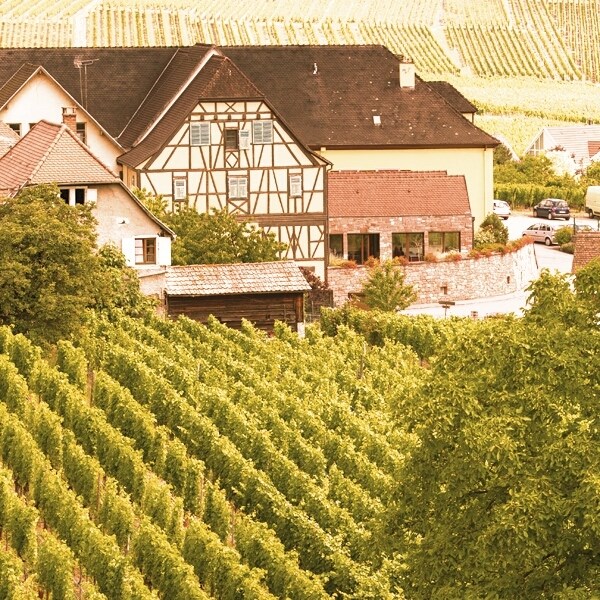 Gewürztraminer 75 cl