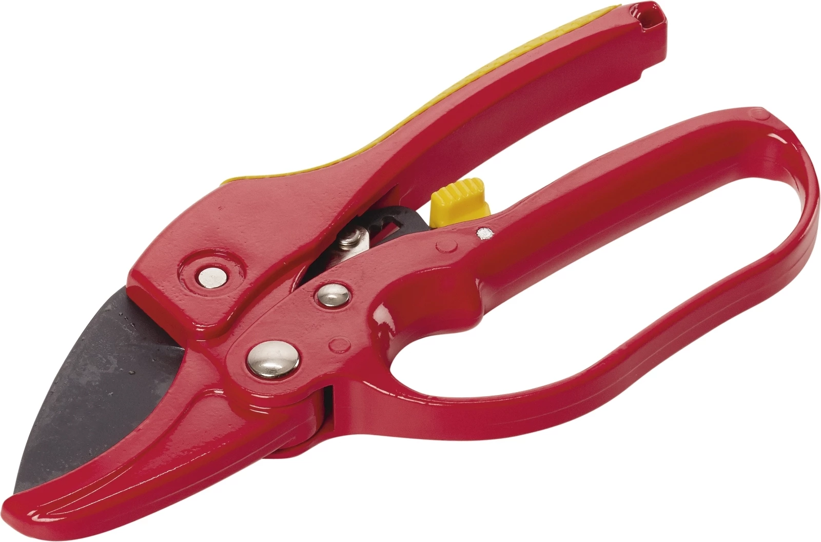 Baumschere Okay mit Übersetzung