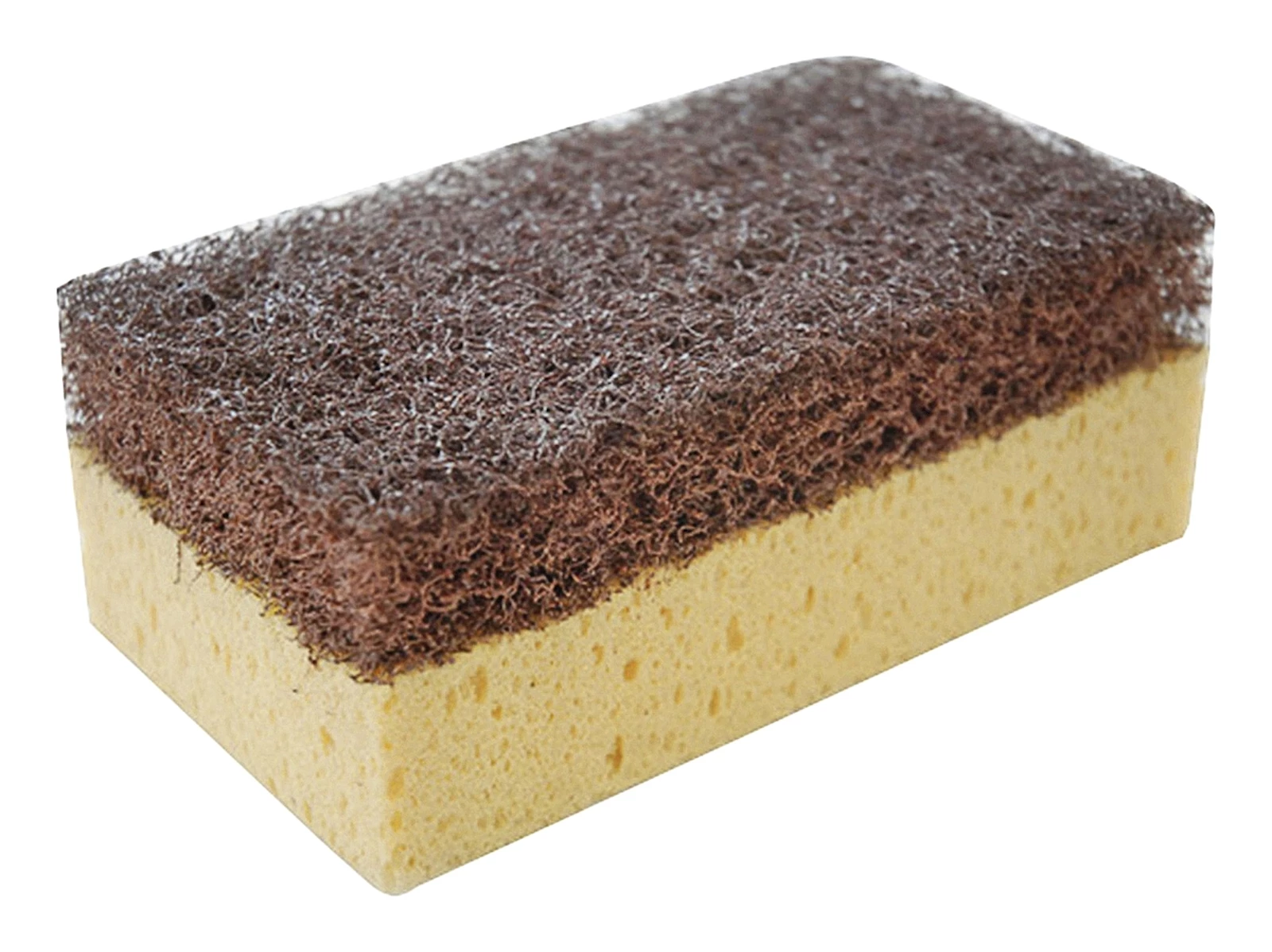 Éponge de peintre grossière