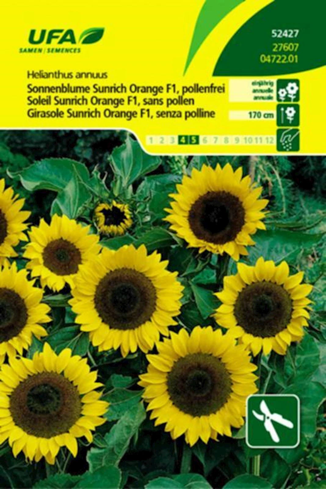 Sonnenblumen Sunrich Orange UFA