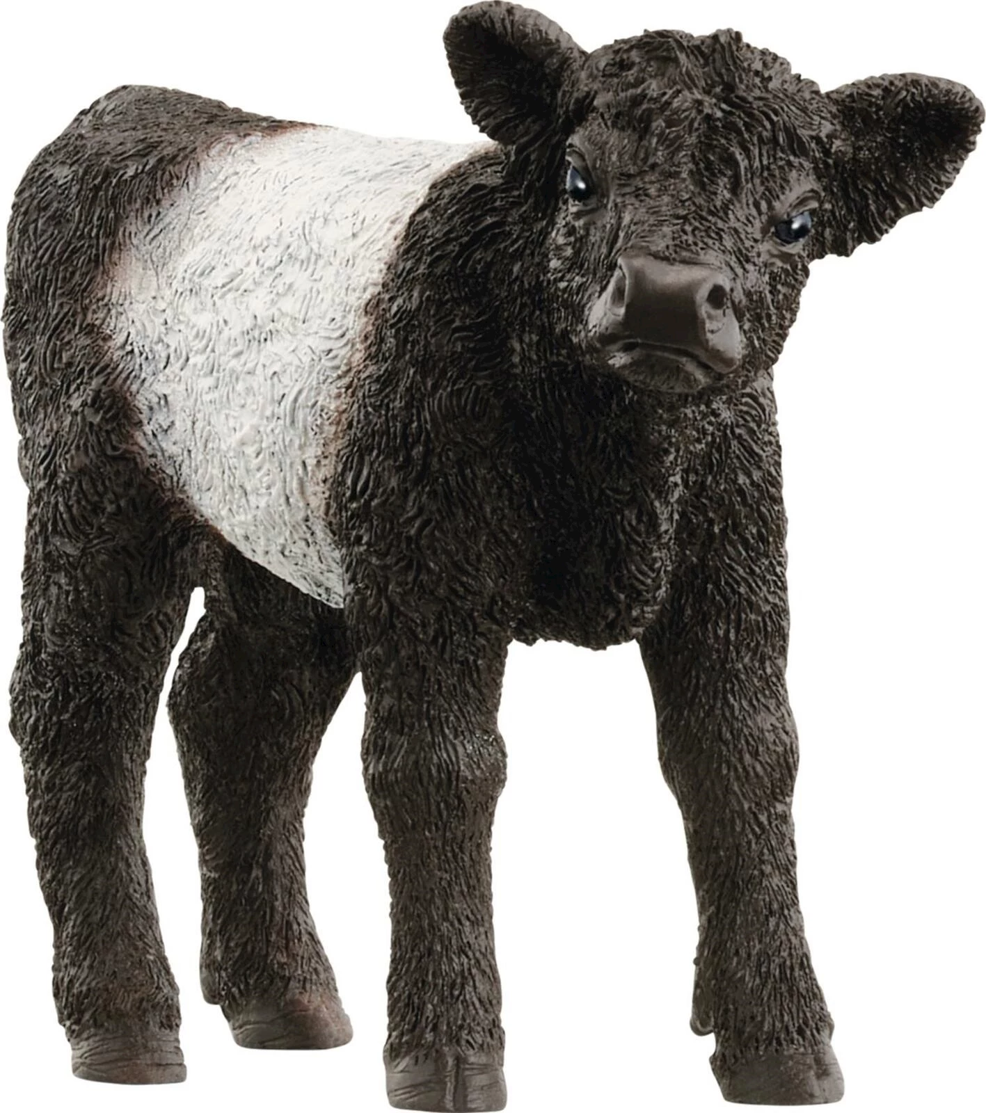 Galloway Kalb Schleich