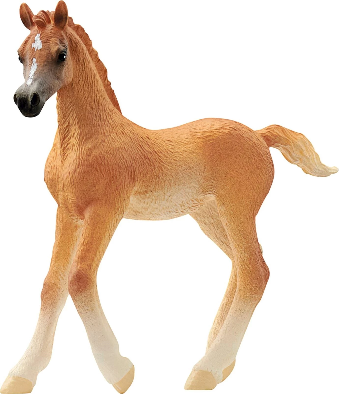 Fohlen Araber Schleich