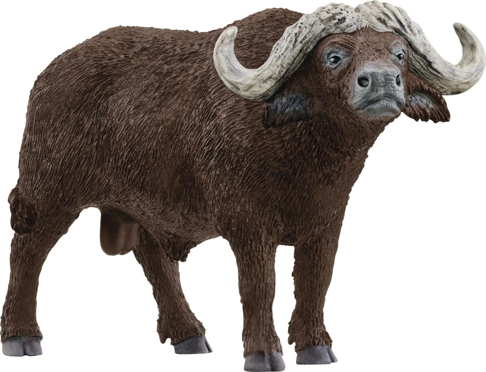 Buffle d’Afrique Schleich