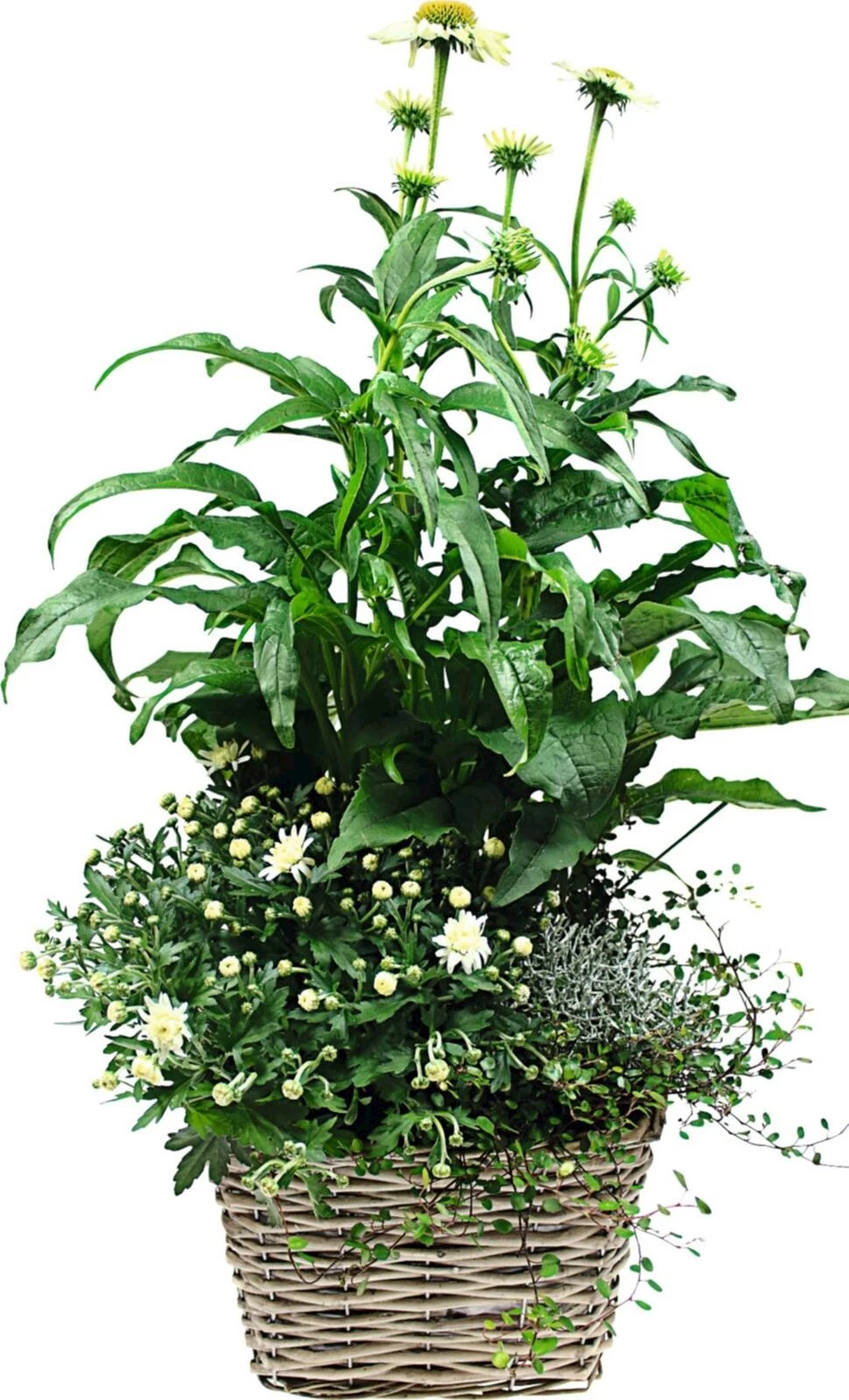 Corbeille d'automne pl. pastell P25 cm