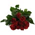 Bouquet de roses 10 pcs.