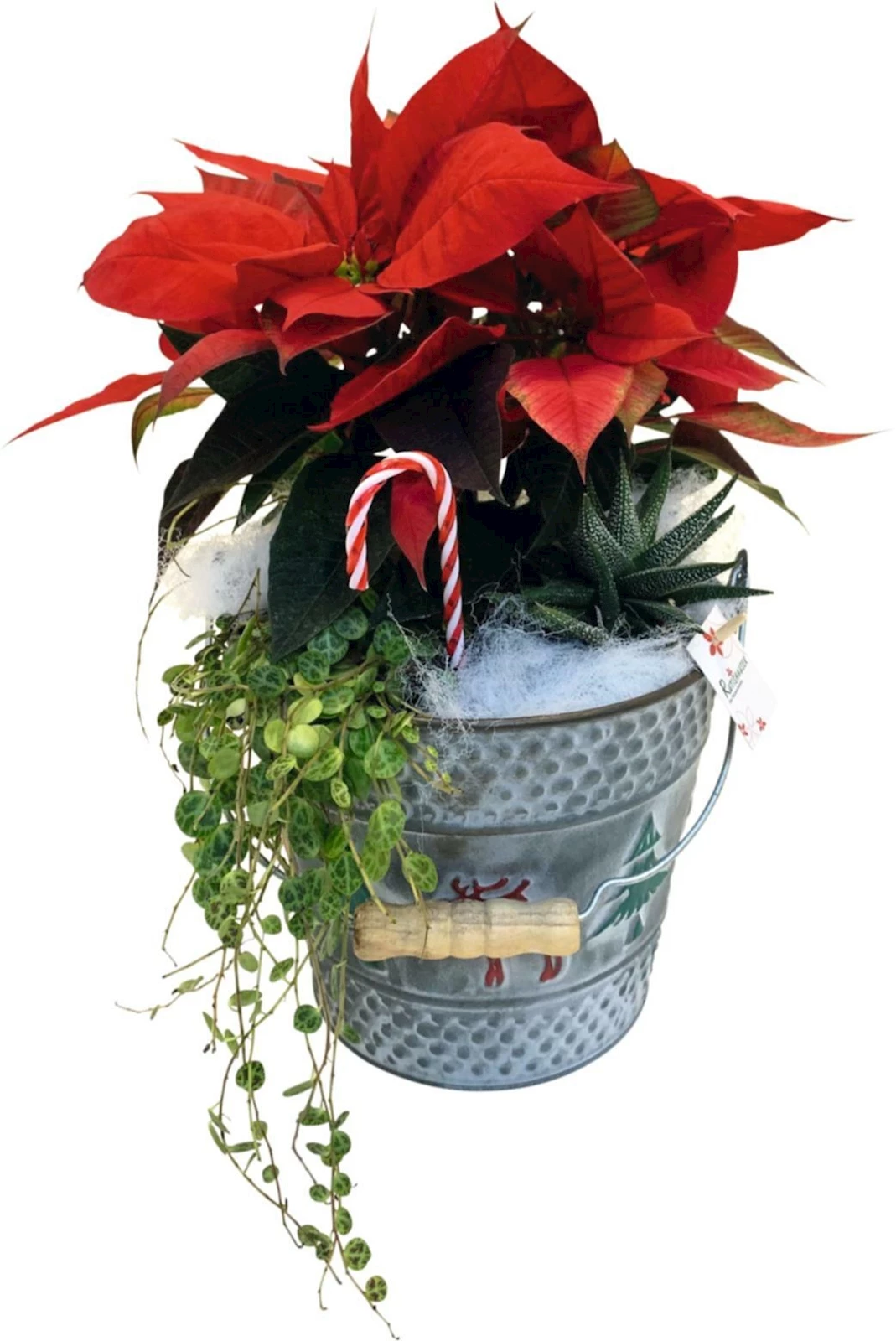 Arr. en zinc avec étoile de Noël grand P