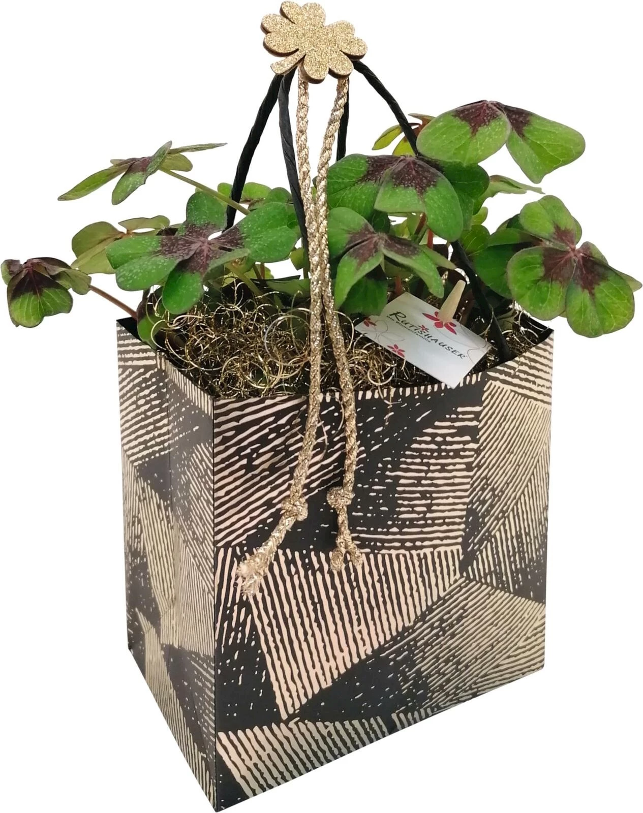 Glücksklee im Bag Gold P12x8 cm