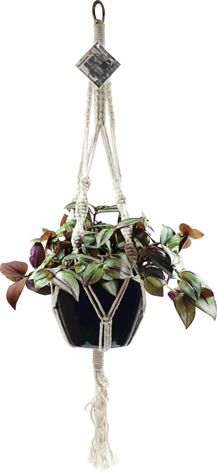 Grünpflanzen Makramee Ampel A17 cm