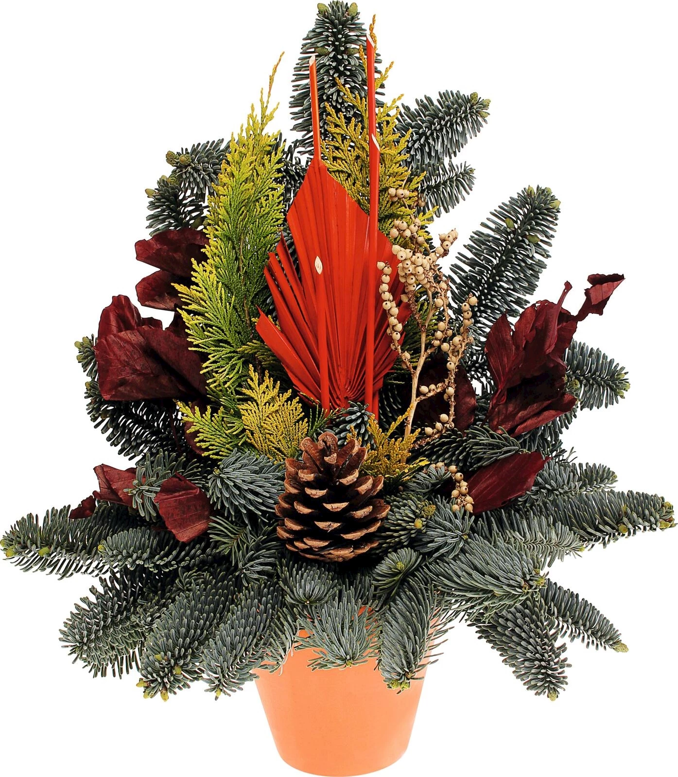 Grabtopf Nobilis kotto