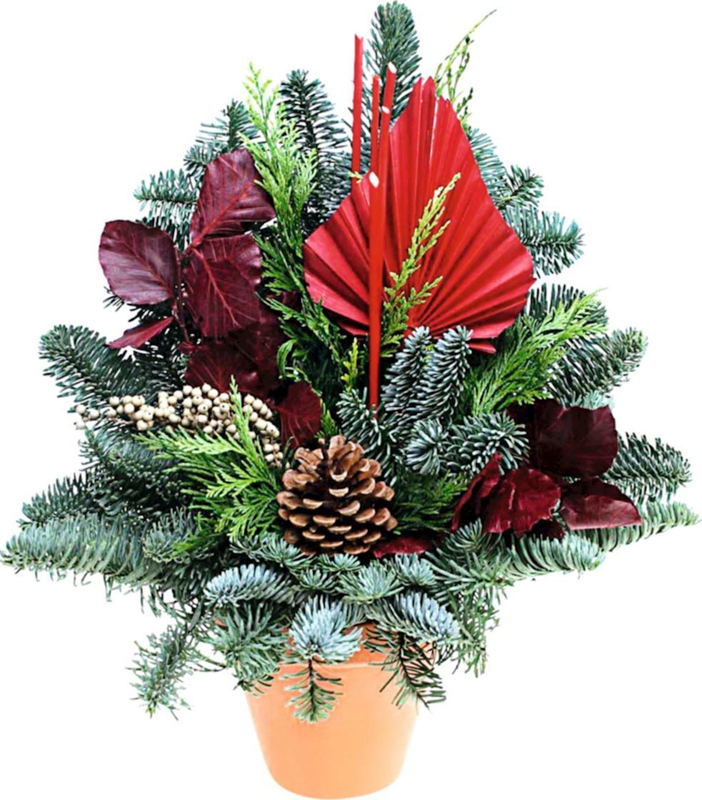 Grabtopf Nobilis rot