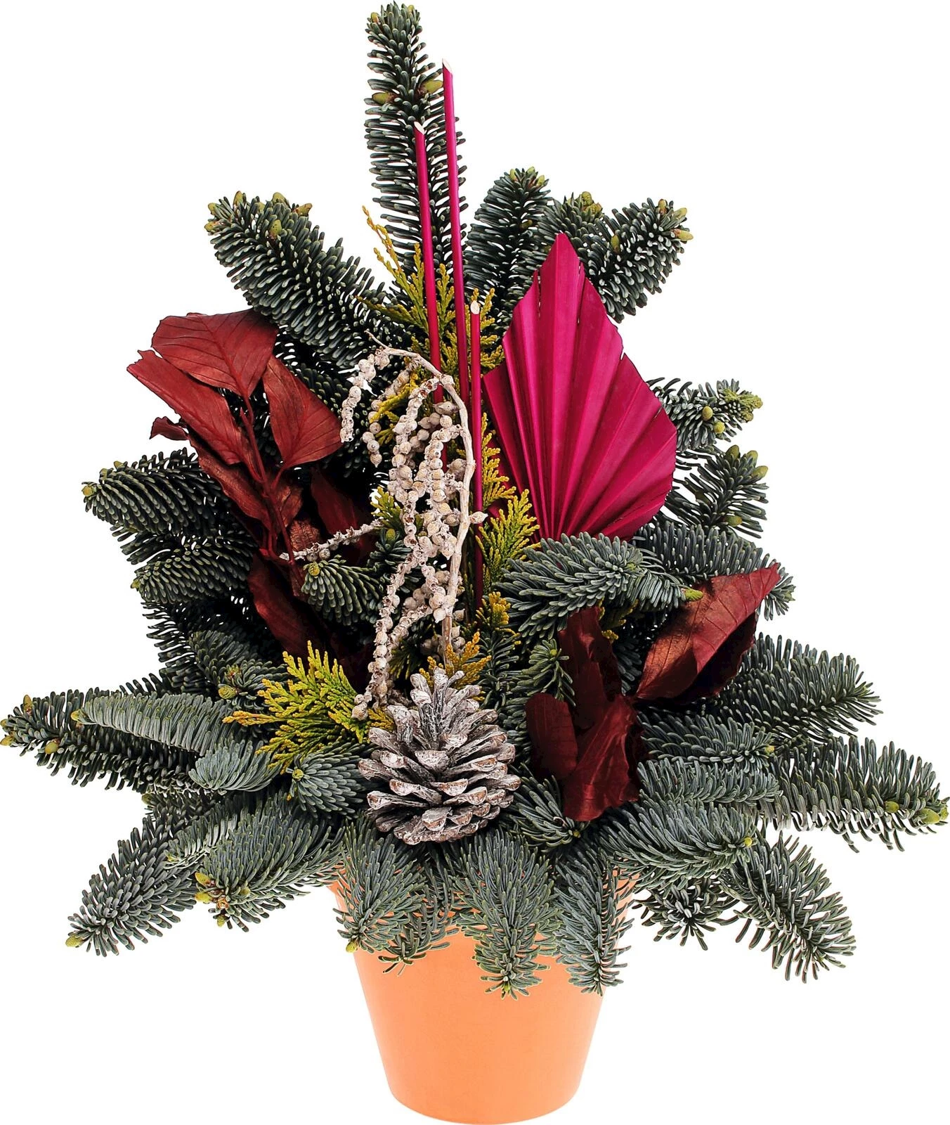 Grabtopf Nobilis erika