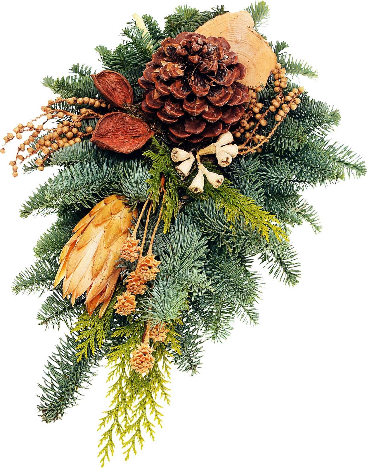 Grableger  Tropfenform nature