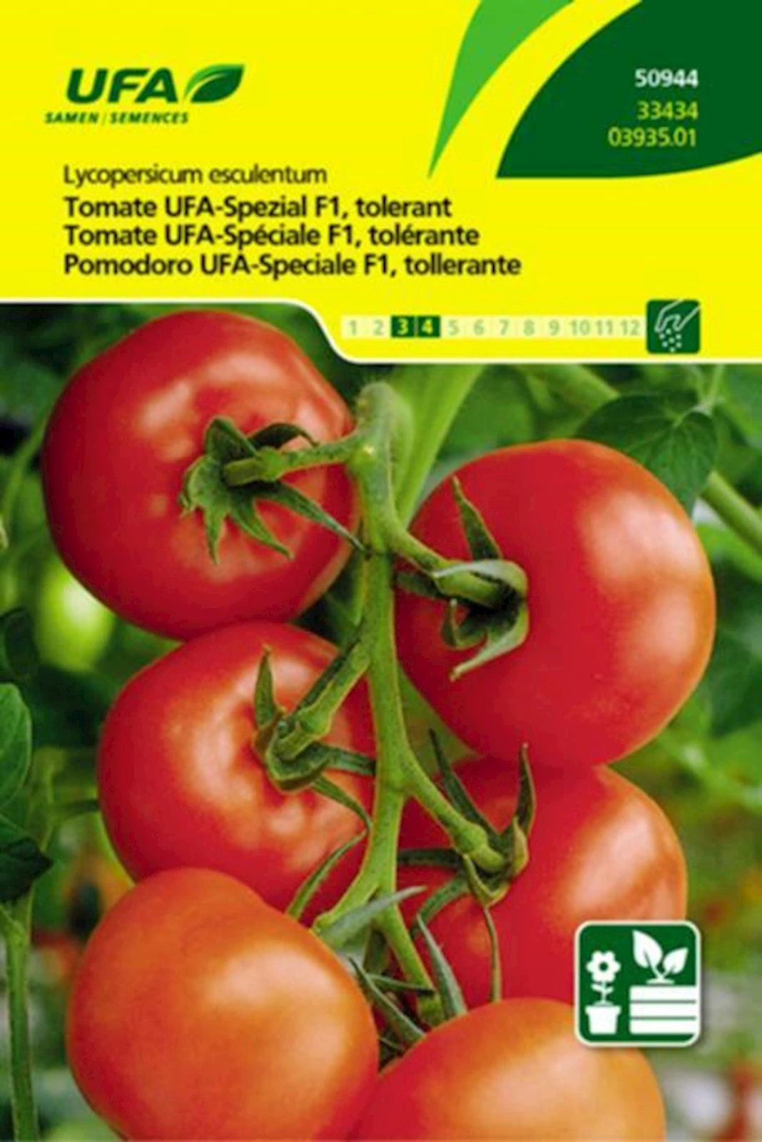 Tomaten Spezial F1 tolerant UFA