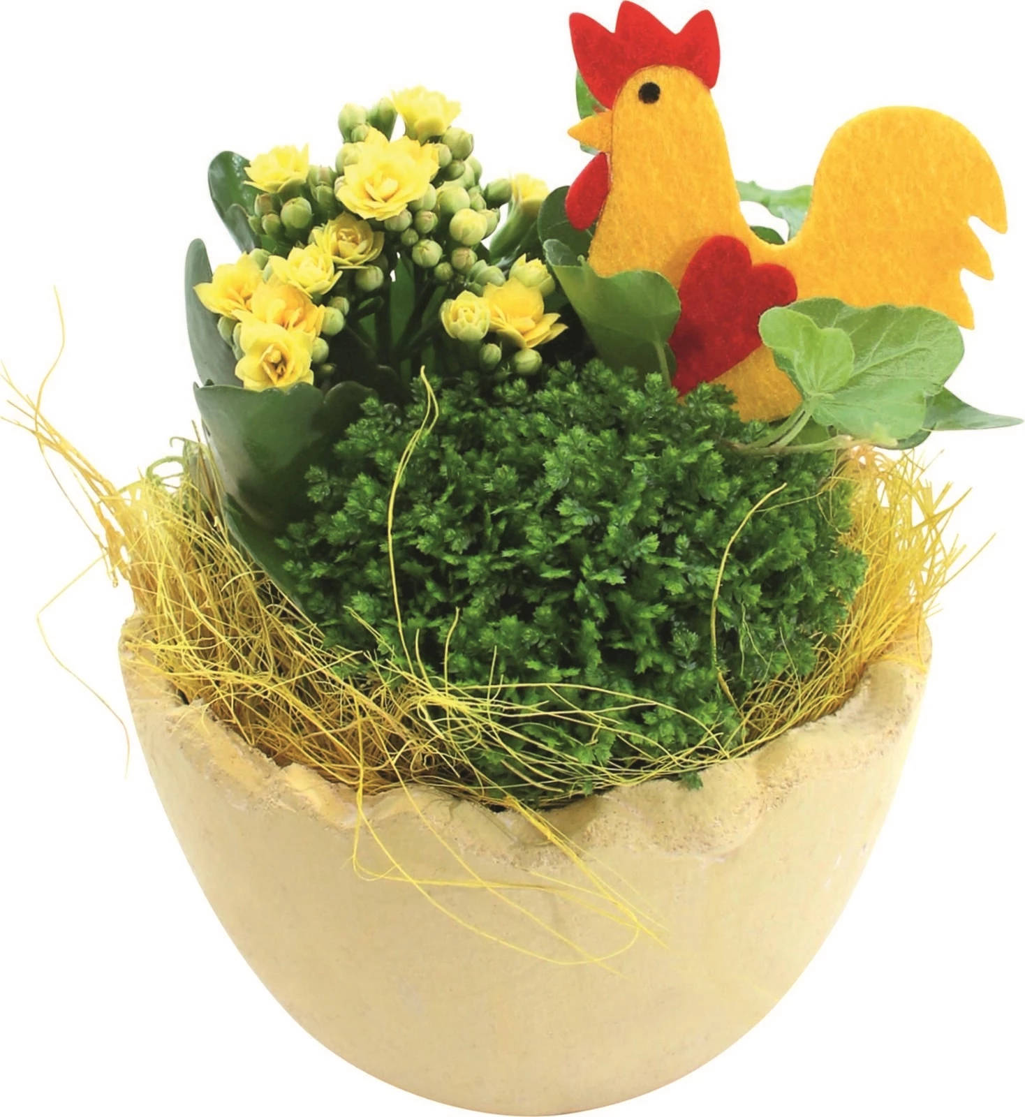 Keramikei bepflanzt P14 cm