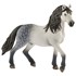 Hengst Andalusier Schleich