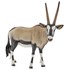 Antilope Oryx Schleich