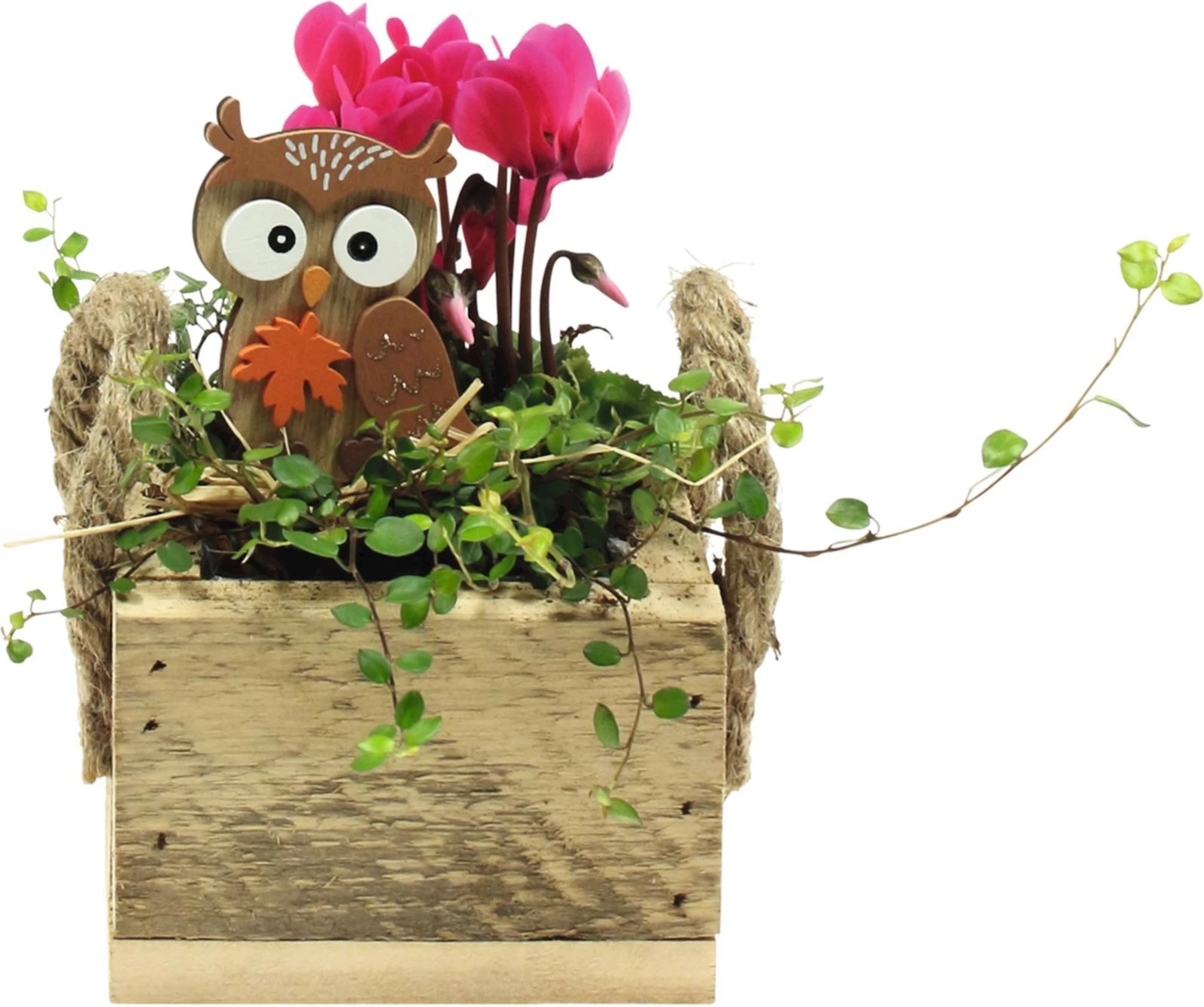 Quadro en bois avec hibou petit P11x11 c