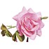 Rosiers à grandes fleurs rose P3 l