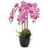 Phalaenopsis künstlich 80 cm