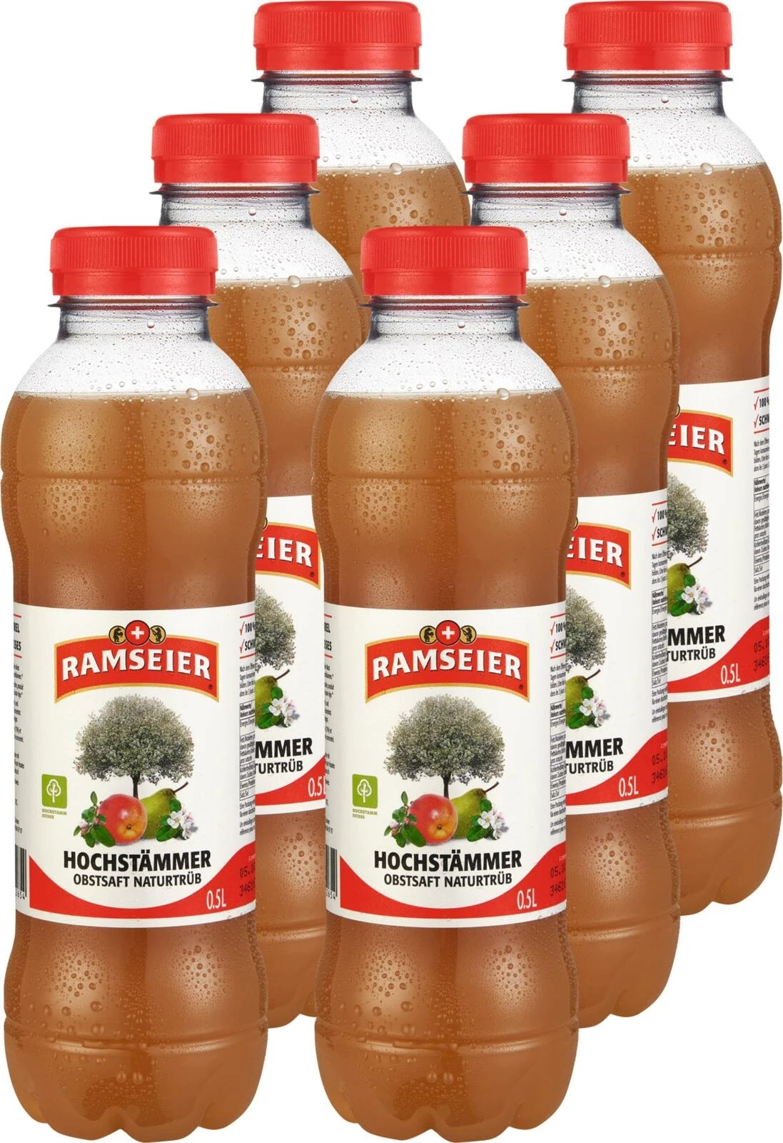 Hochstämmer Ramseier 6 × 50 cl